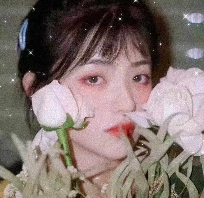 杜芭莉女士